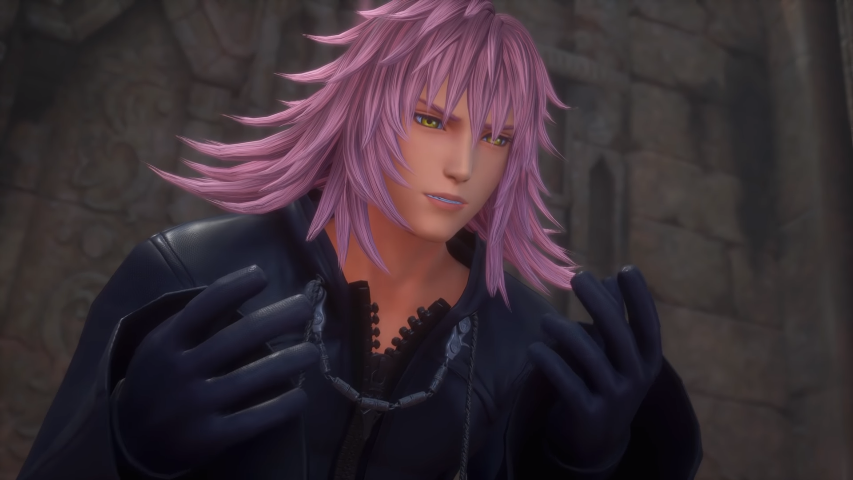 kingdom hearts vexen and marluxia