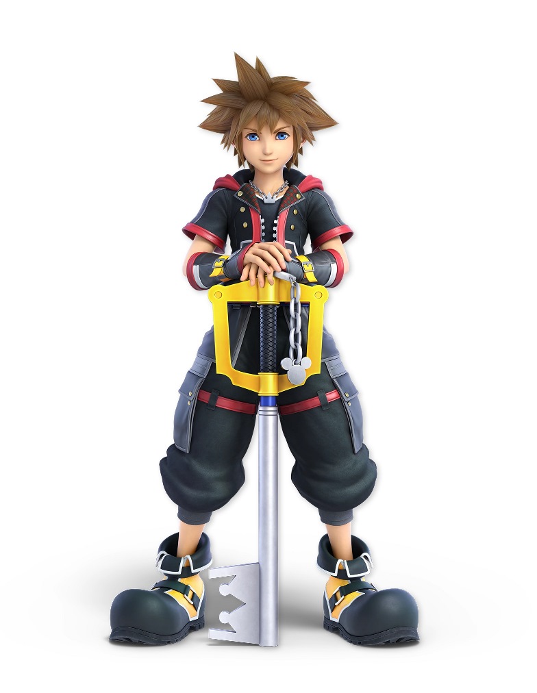 kingdom hearts evil sora